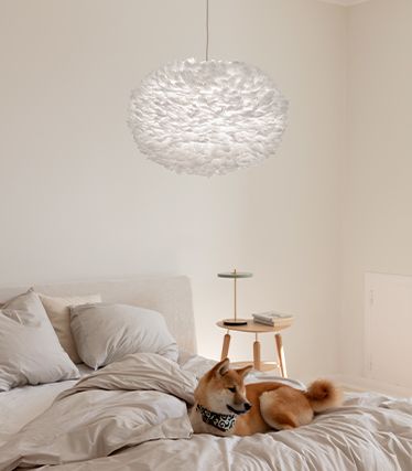 Fluffy pendant lamp creating a warm and relaxing atmosphere in a modern bedroom with a dog resting on the bed