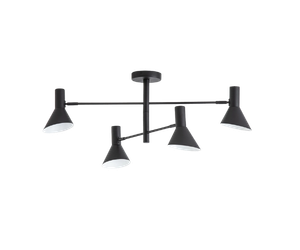 Ceiling lights