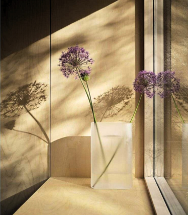 Minimalist Muuto vase with delicate allium blossoms, staged in warm sunlight with a poetic play of shadows on the wall.